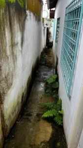 Corredor externo