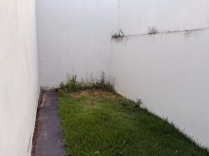 Quintal dos fundos